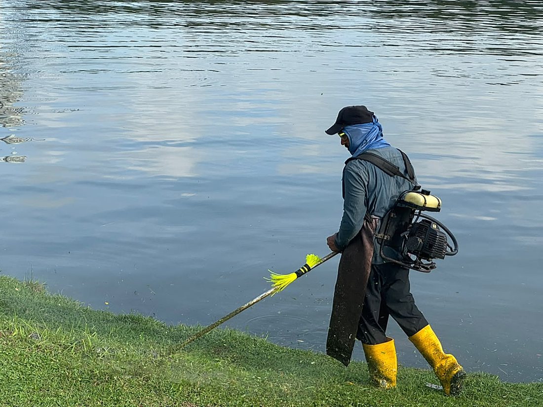 Wetland lakeside maintenance