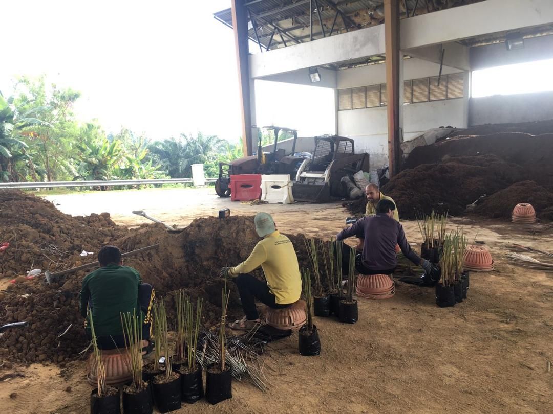 Aquatic plant nursery